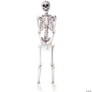 Party Destination Lifesize Pose and Hold Skeleton 5' Plastic Sculpture