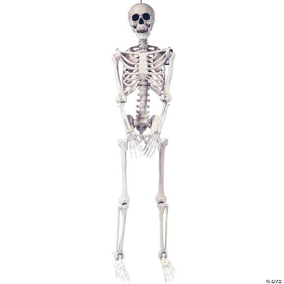 Party Destination Lifesize Pose and Hold Skeleton 5' Plastic Sculpture