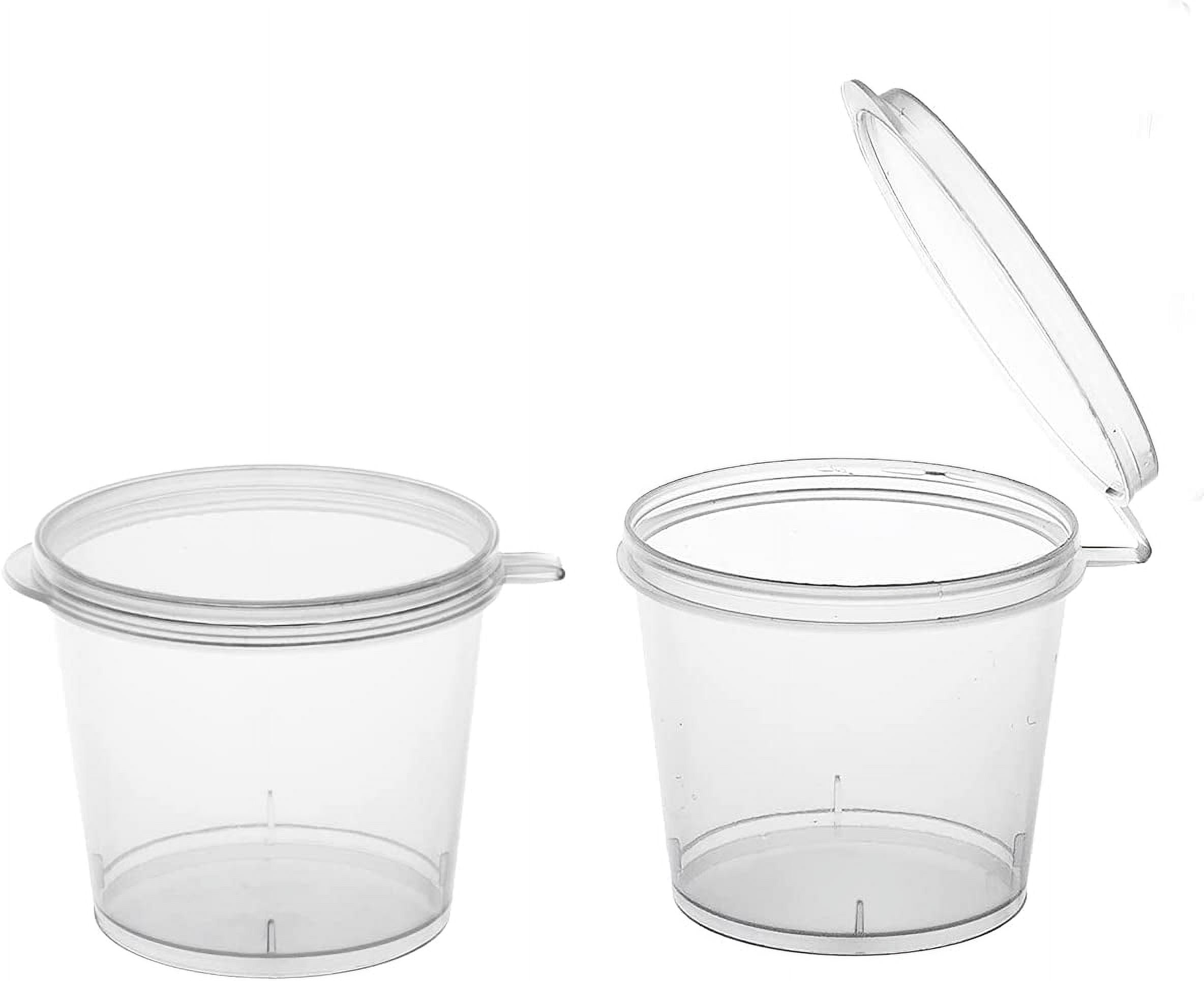 2oz Disposable Leak Proof Plastic Condiment Containers with Hinged Lid –  EcoQuality Store