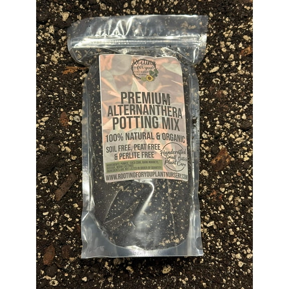 Party Time Alternanthera Premium Potting Mix