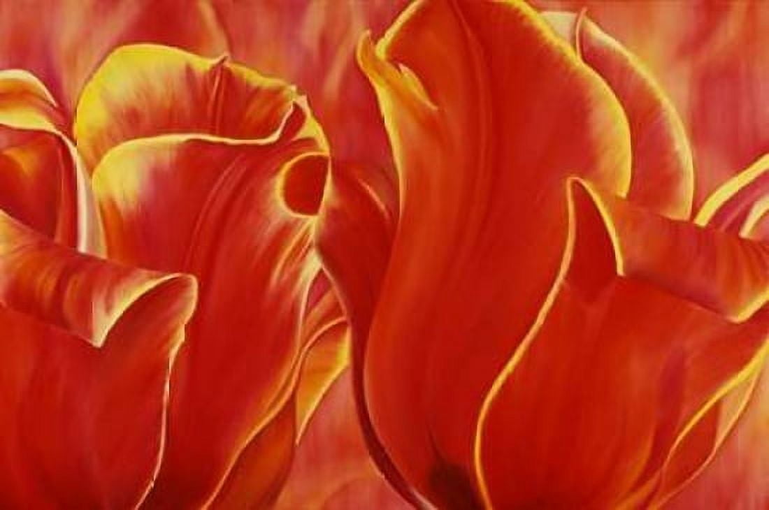 Party Tulip II Canvas Art - Yvonne Poelstra-Holzhaus (12 x 18)