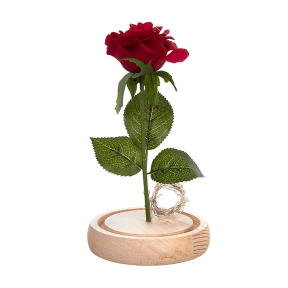 Party Wedding Valentine Gift Rose In Glass Dome Forever Rose Red Rose Preserved Rose Belle Rose Special Romantic Gift