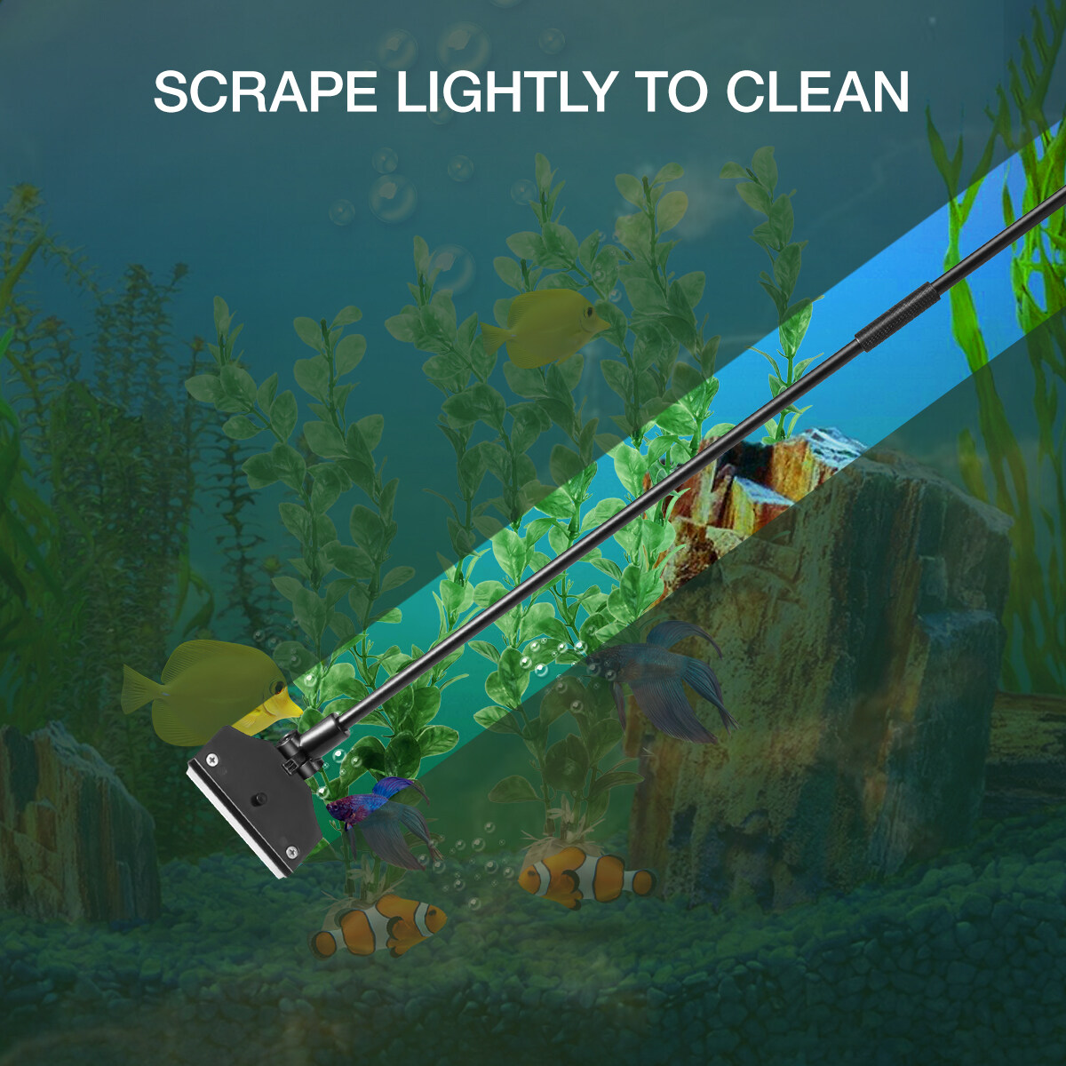 PartyKindom Aquarium Scraper, Black, Wide Head, No Scratch, Adjustable ...