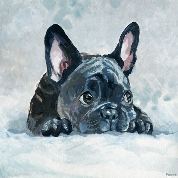 Parvez Taj Afraid Bulldog Canvas Wall Art
