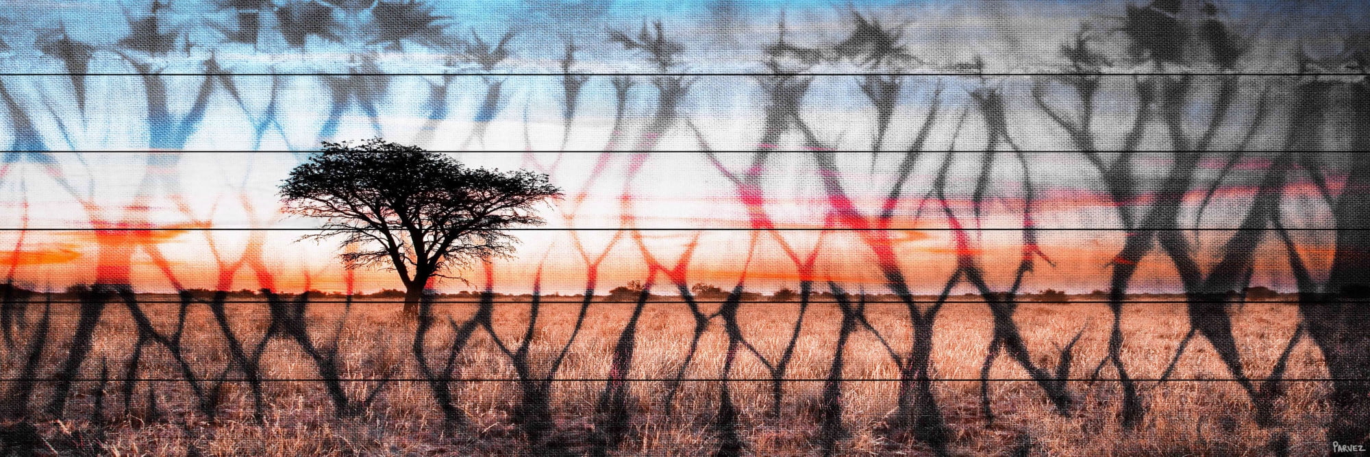 Parvez Taj "African Landscape" Print on White Wood