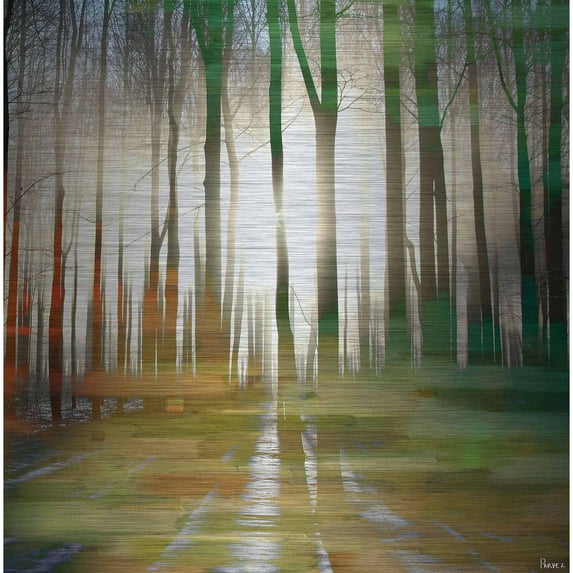 Parvez Taj Ajax Metal Wall Art