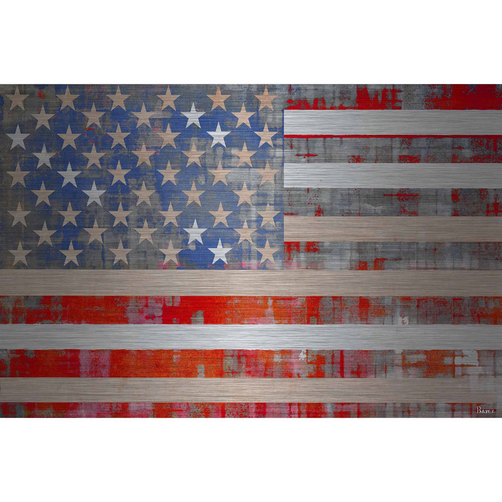 Parvez Taj  'American Dream' Painting Print on Brushed Aluminum 24 x 16