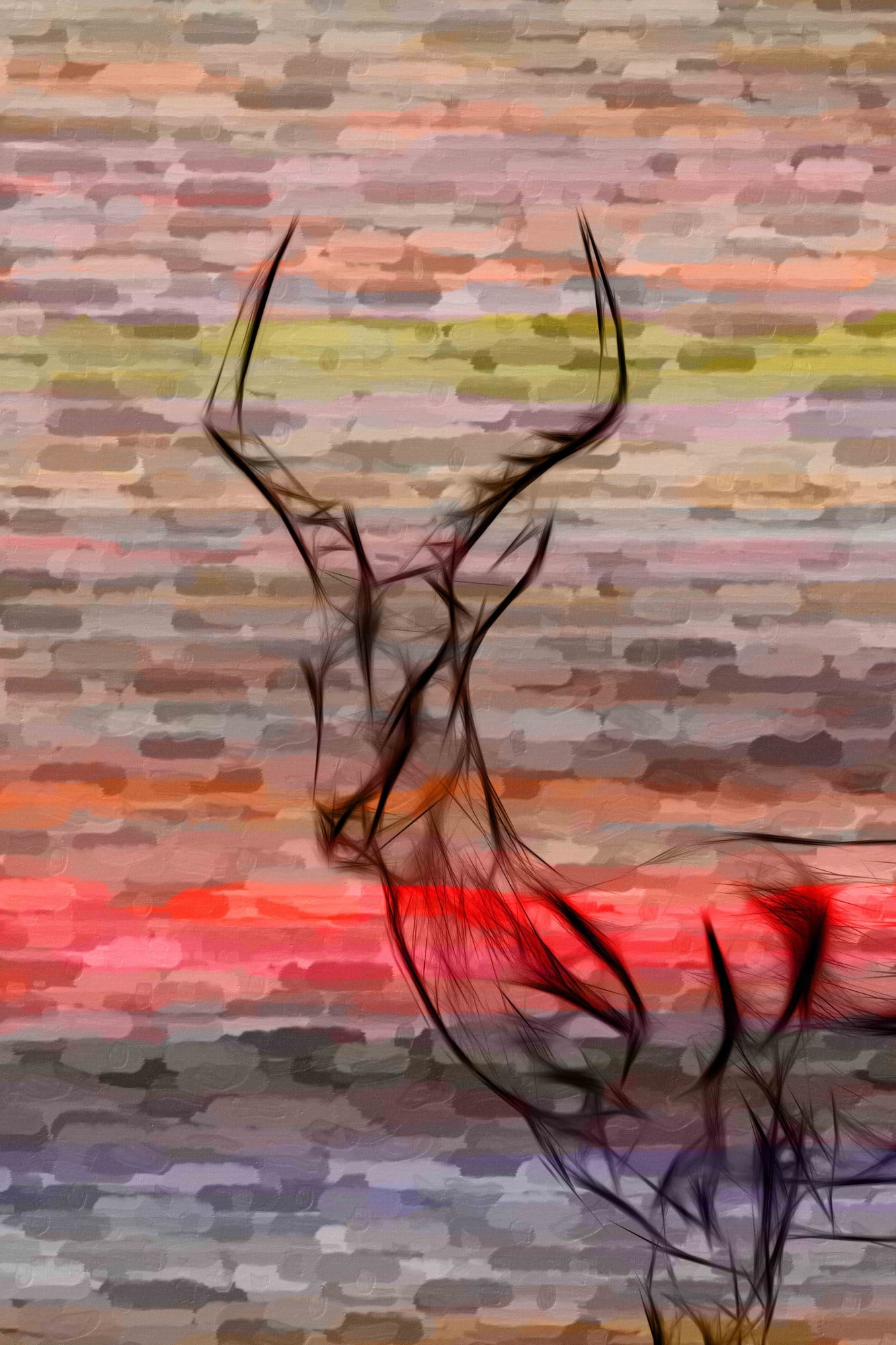 Parvez Taj "Antelope" Print on Canvas