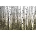 thumbnail image 1 of Aspen Highlands by Parvez Taj Painting Print on Wrapped Canvas, 1 of 5