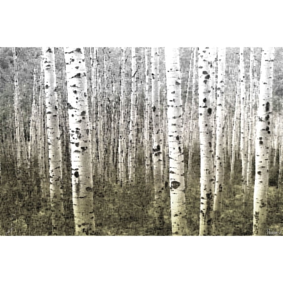 Aspen Highlands by Parvez Taj Painting Print on Wrapped Canvas