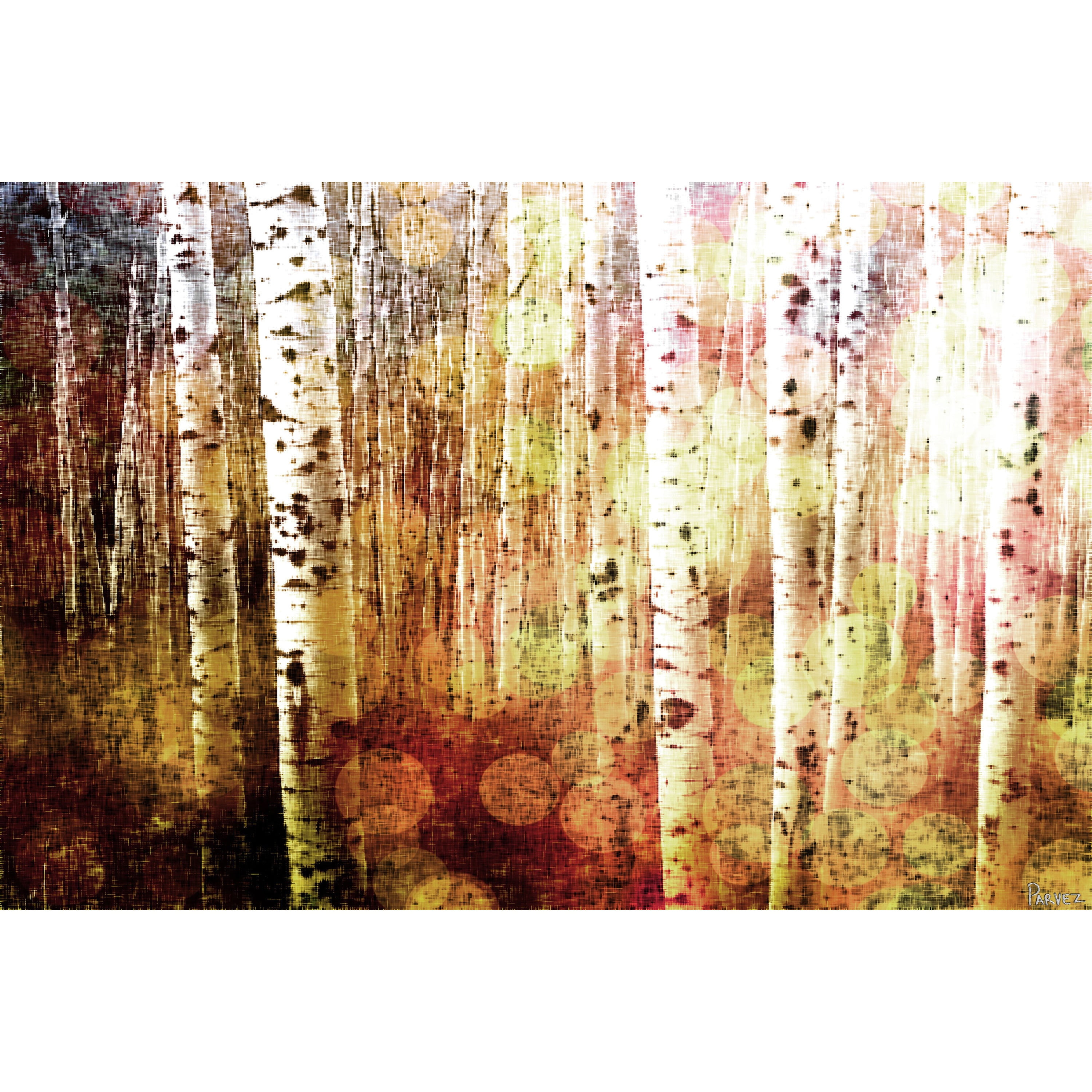 Aspen Abstract Multicolor Framed Canvas Print 18 x 12