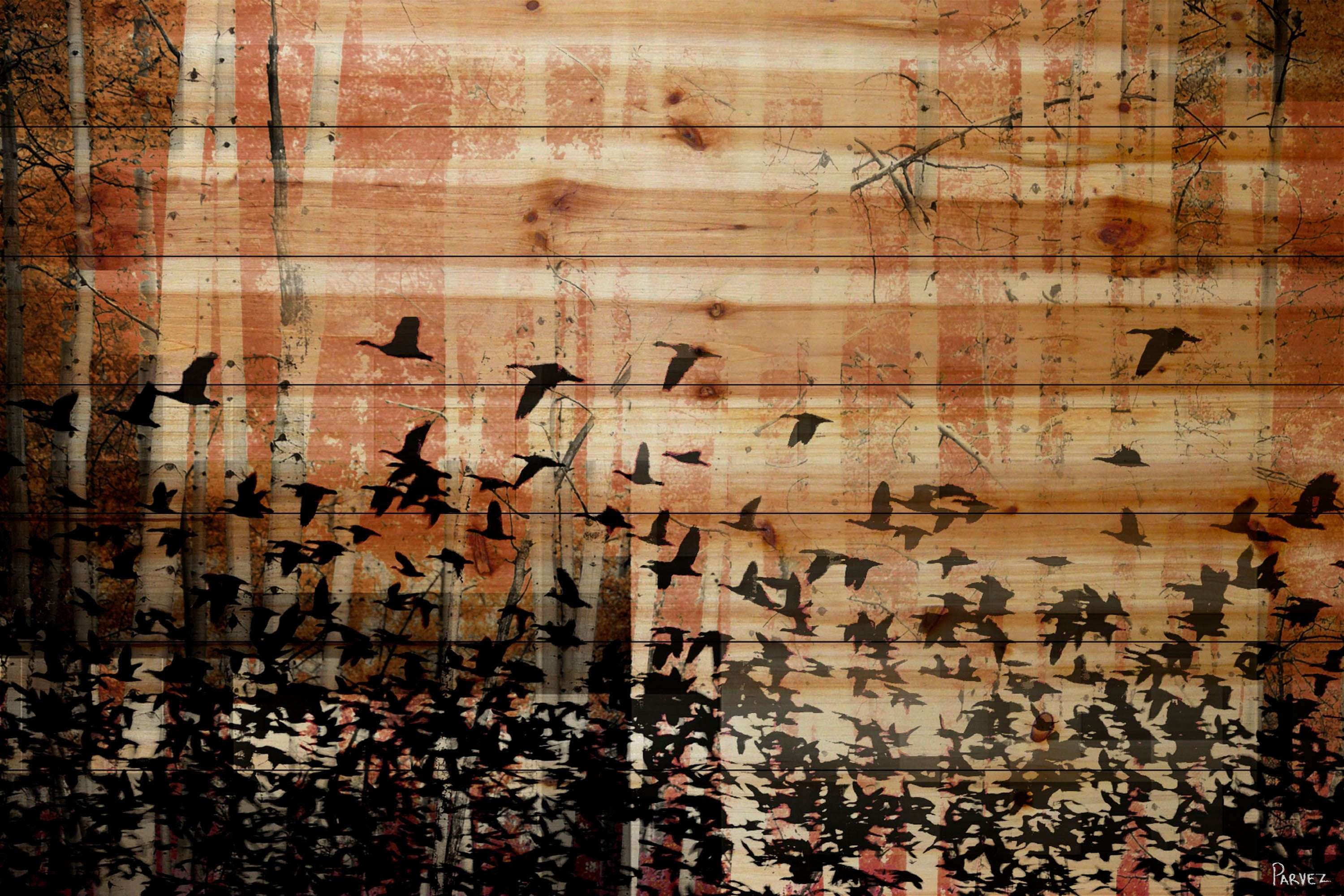 Parvez Taj Aspen Wood Pinewood Wall Art, 20" x 30"