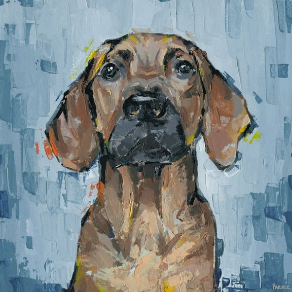 Parvez Taj Attentive Dog Canvas Wall Art