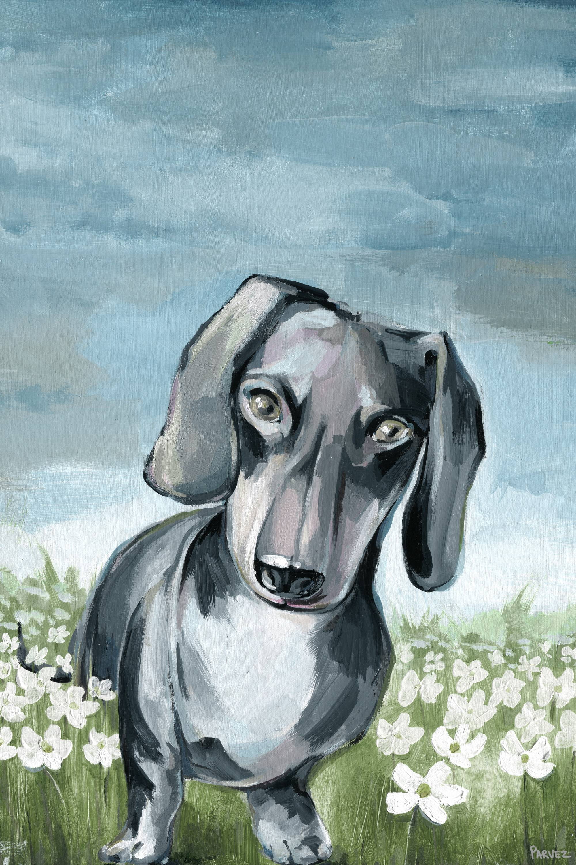 Parvez Taj Beautiful Dachshund Canvas Wall Art