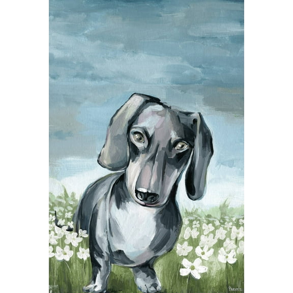Parvez Taj Beautiful Dachshund Canvas Wall Art