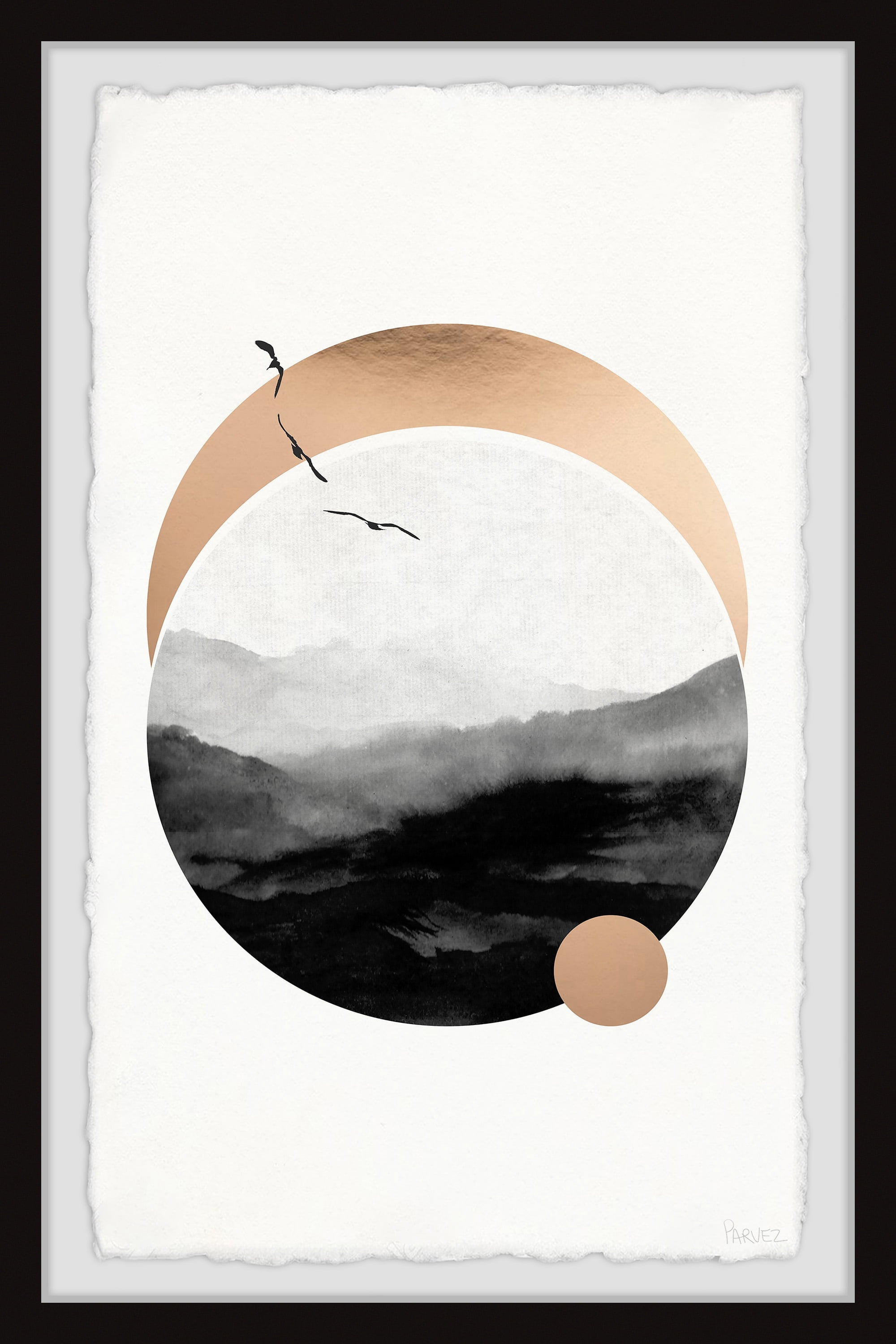 Parvez Taj Bird Landscapes Framed Art Prints