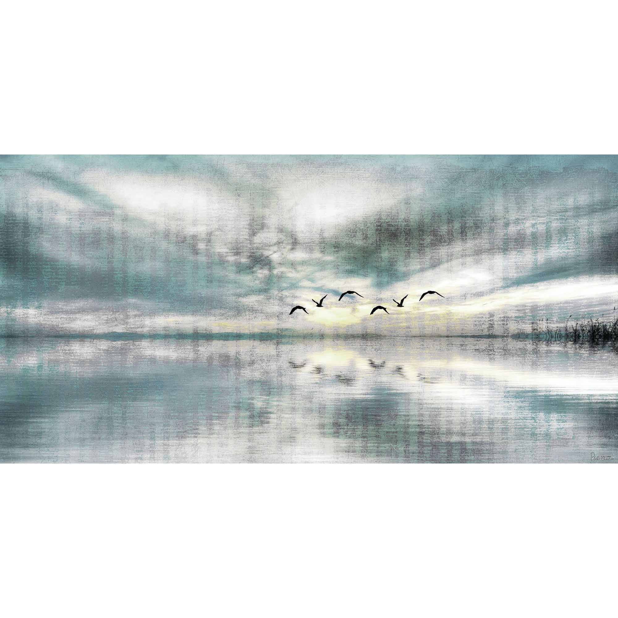 Parvez Taj Birds Skylight Art Print on Premium Canvas