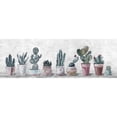 thumbnail image 1 of Parvez Taj Blooming Succulents Painting Print on Wrapped Canvas, 1 of 6
