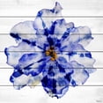 thumbnail image 1 of Parvez Taj Blue and White Flower 40-Inch x 40-Inch Wood Wall Art, 1 of 7