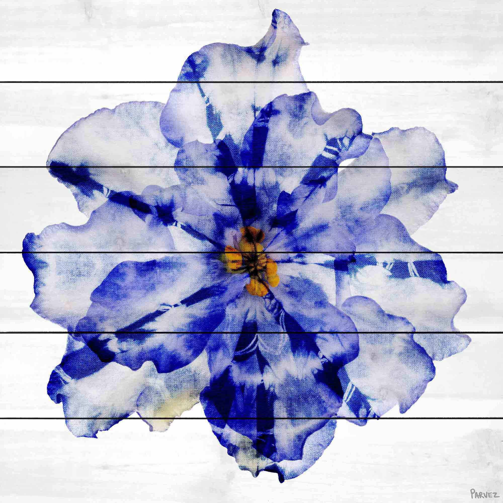 Parvez Taj Blue and White Flower Art Print on White Pine Wood