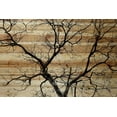thumbnail image 1 of Parvez Taj Branching Out III Pinewood Wall Art, 20" x 30", 1 of 7