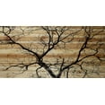 thumbnail image 1 of Parvez Taj Branching Out Pinewood Wall Art, 1 of 7