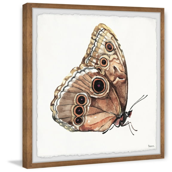 Parvez Taj "Brown Mariposa" Framed Painting Print