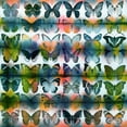 thumbnail image 1 of Parvez Taj Butterflies Squared Art Print on Premium Canvas, 1 of 7