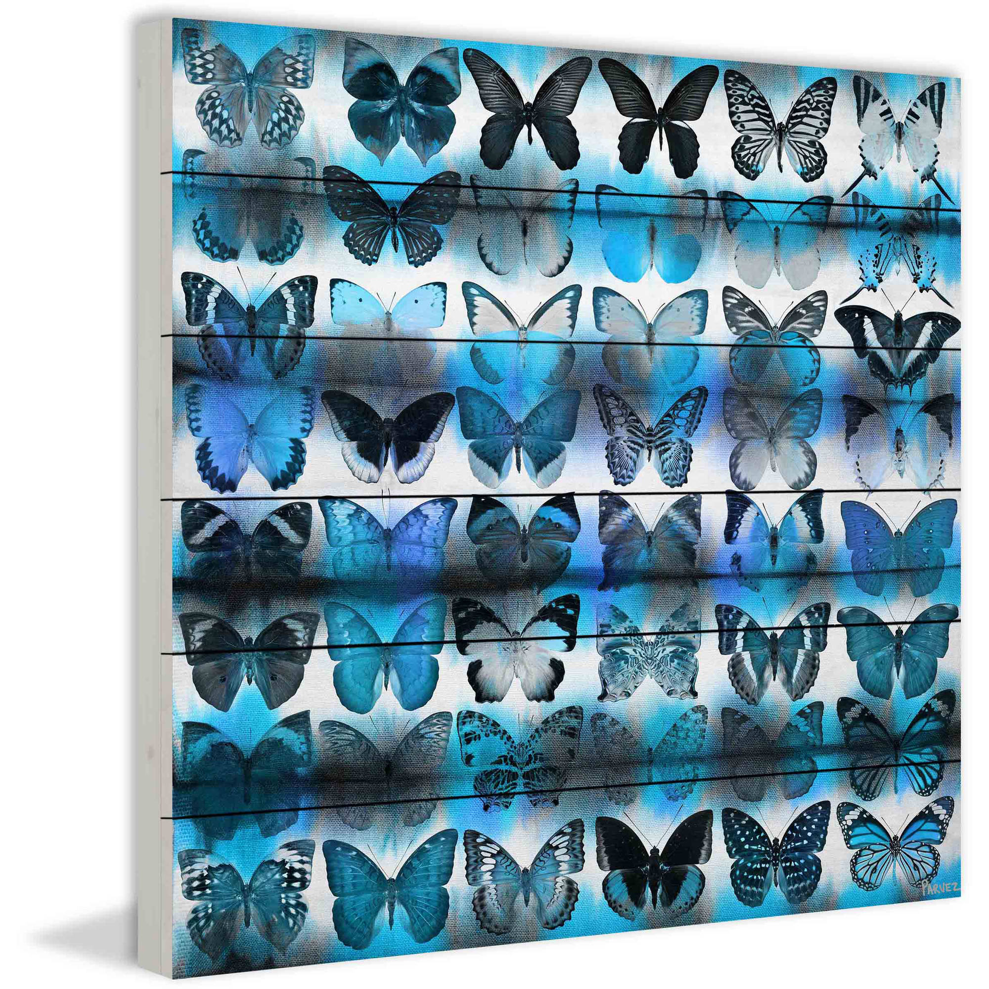 Parvez Taj Butterfly Animals Art Print