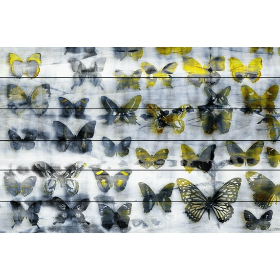 Parvez Taj Butterfly Fine Art Art Prints