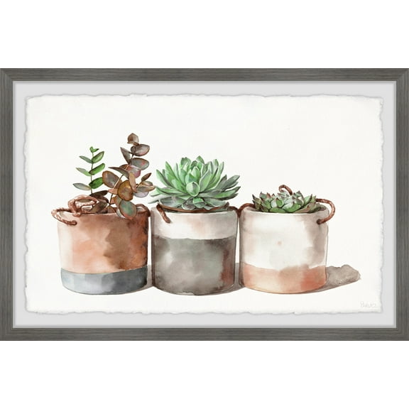 Parvez Taj Cact Cans Framed Wall Art