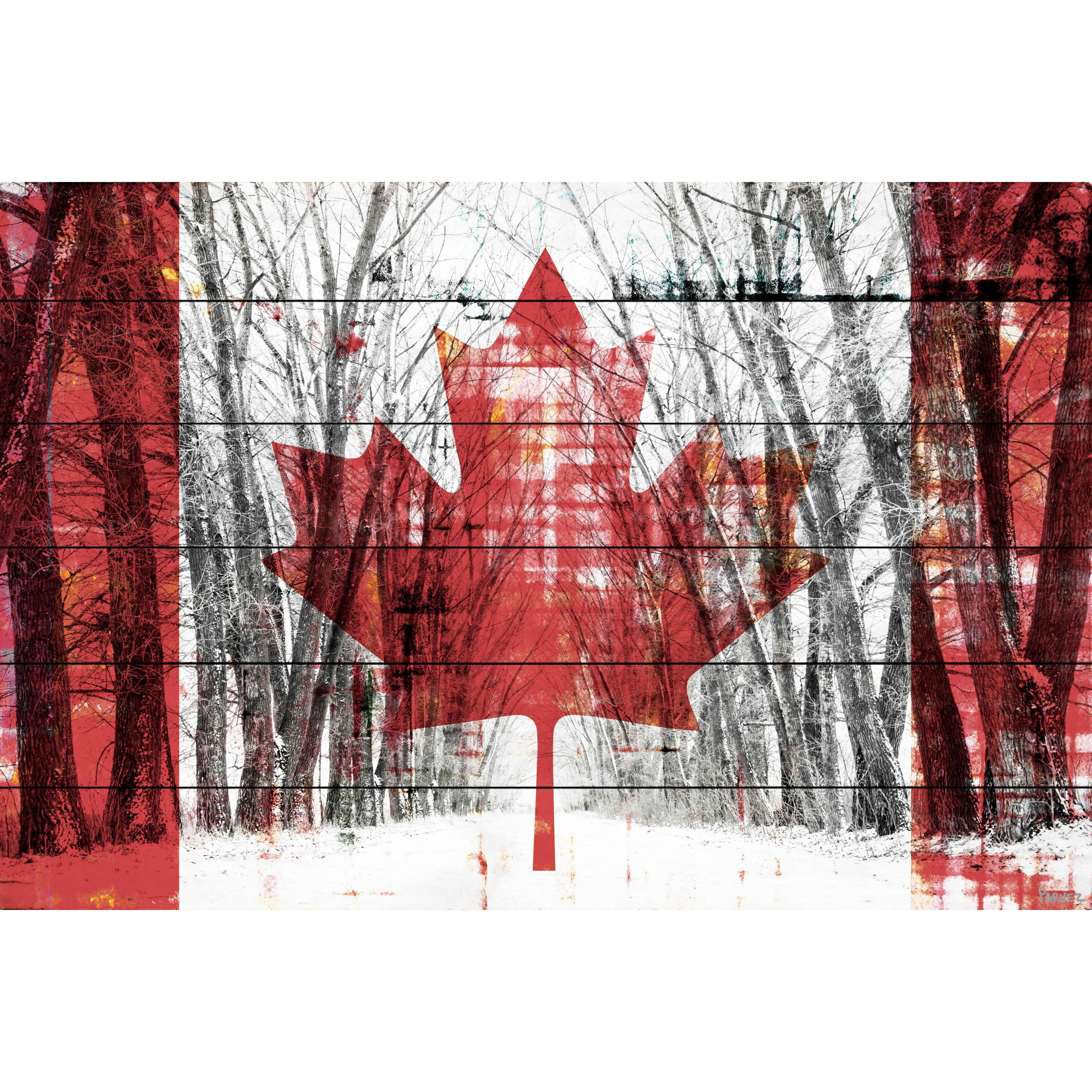 Parvez Taj  - Canadian Rows of Trees Painting Print on White Wood - Multi-Color 45 x 30