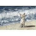 thumbnail image 1 of Parvez Taj Chihuahua by the Beach Canvas Wall Art, 1 of 9