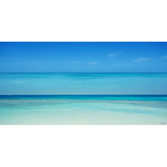 Parvez Taj "Clear Blue" Print on Canvas