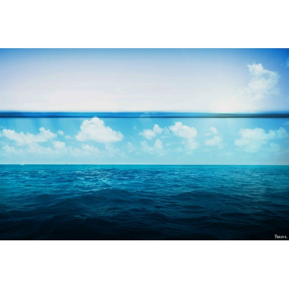 Parvez Taj "Clouds" Print on Canvas