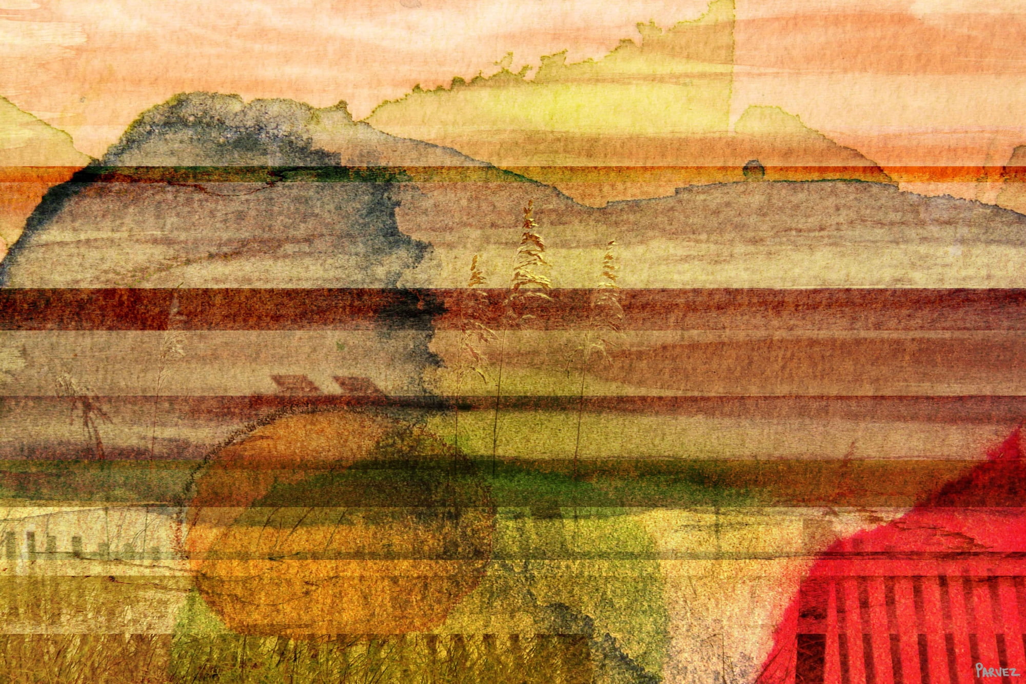 Parvez Taj "Collage" Print on Canvas