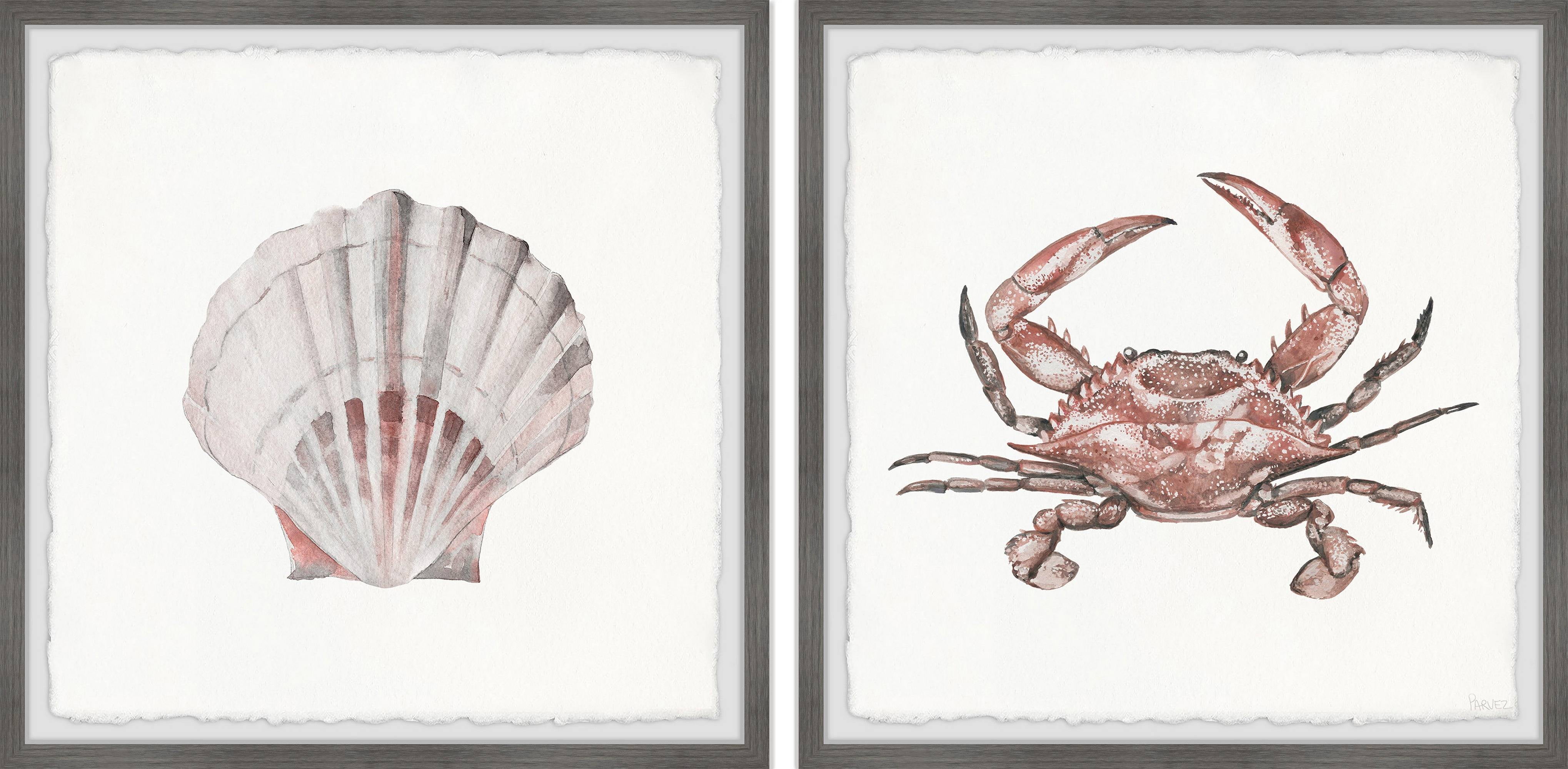 Parvez Taj Crab and Shell Blush Diptych