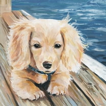 Parvez Taj Cuddly Puppy Canvas Wall Art