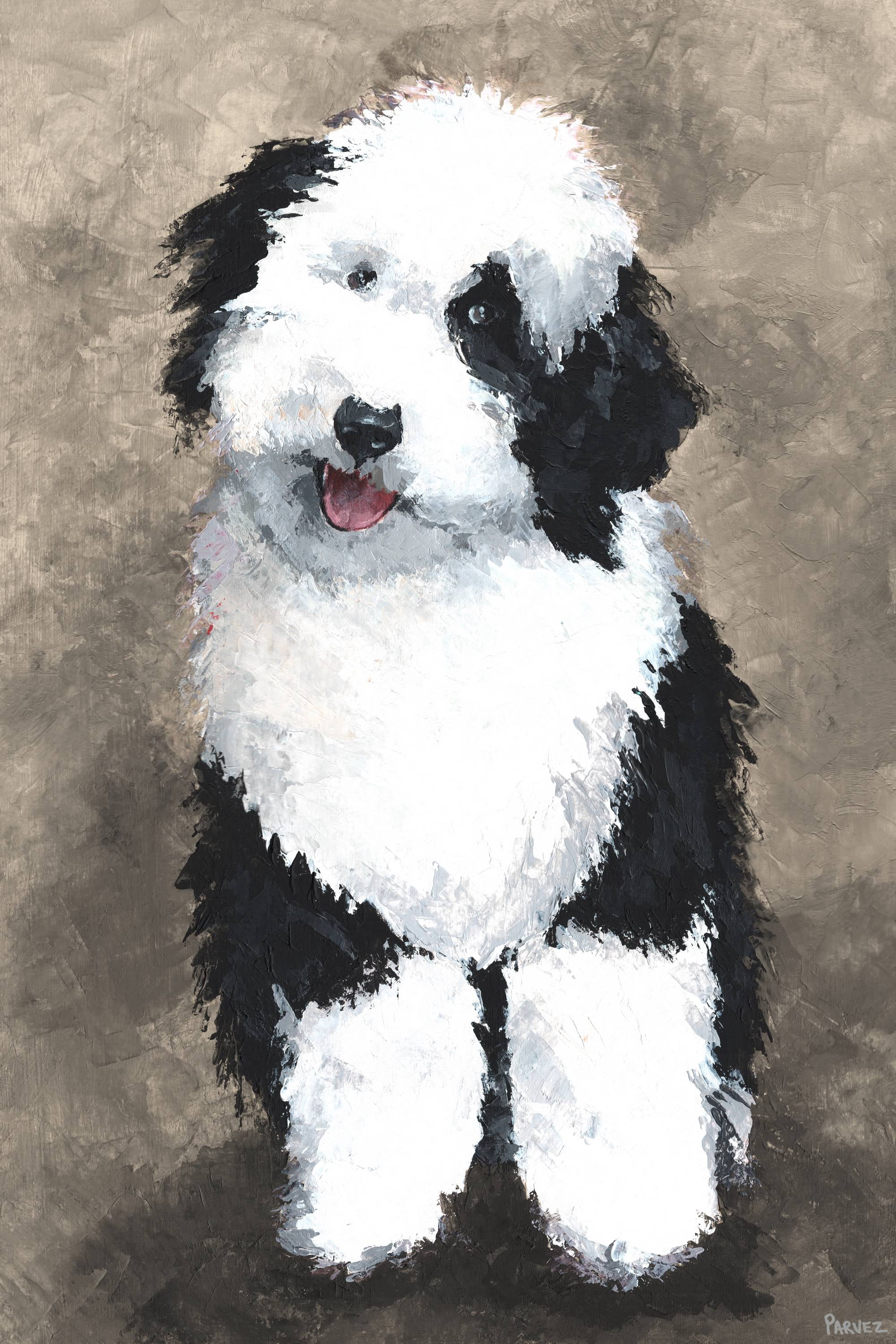 Parvez Taj Cute Furry Dog Canvas Wall Art