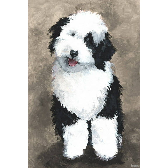 Parvez Taj Cute Furry Dog Canvas Wall Art