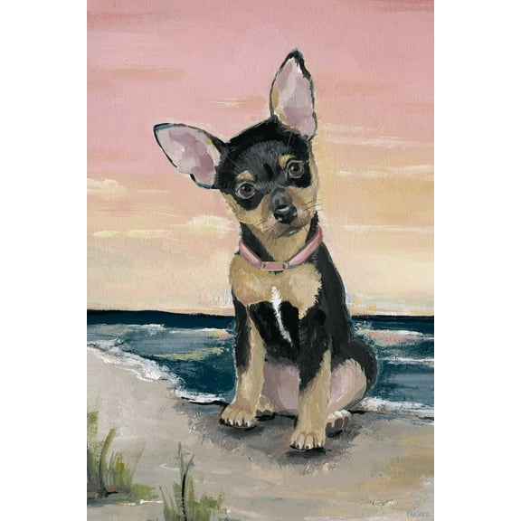 Parvez Taj Cute Little Dog Canvas Wall Art