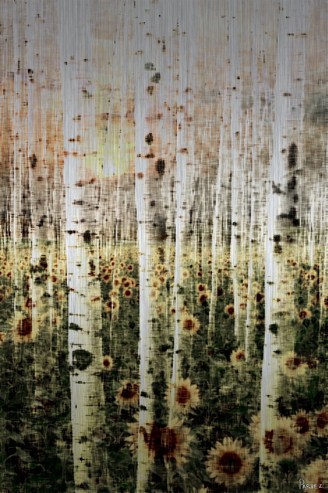 Parvez Taj Daisy Forest Art Print on Brushed Aluminum