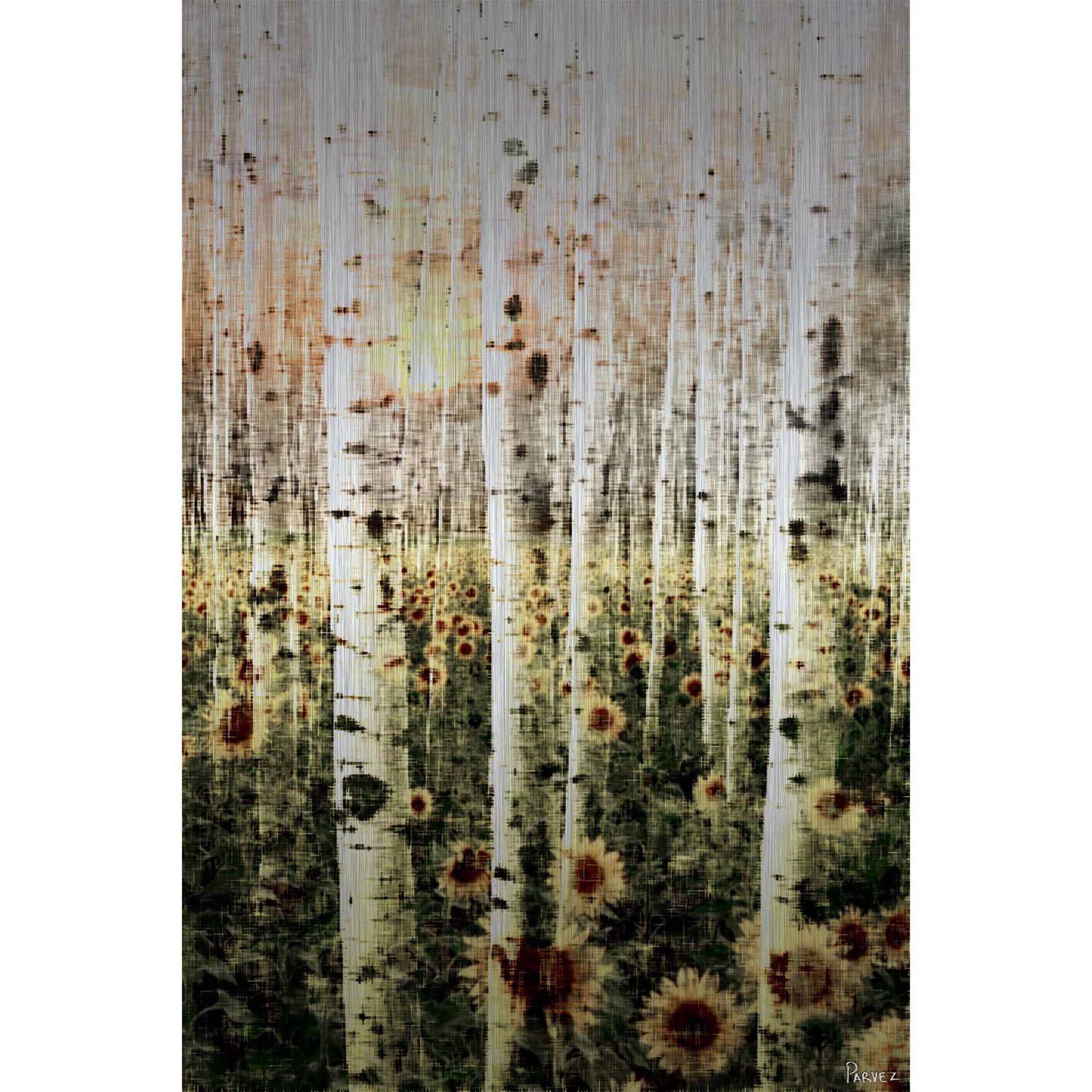 Parvez Taj Daisy Forest Art Print on Brushed Aluminum