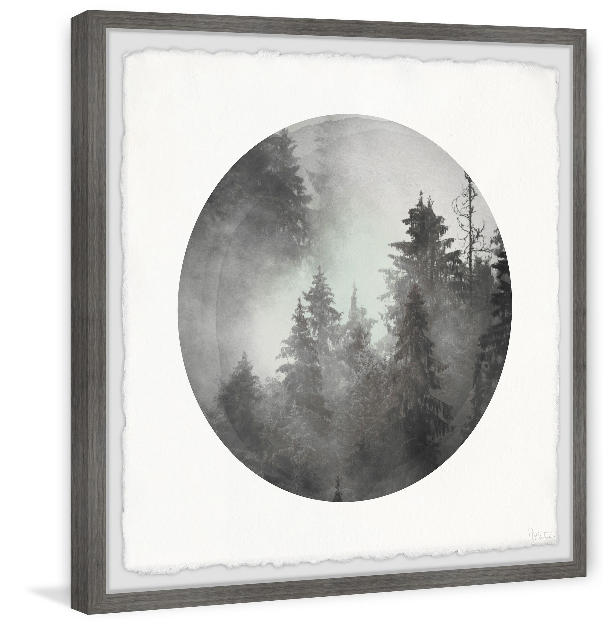 Parvez Taj Dark Foggy Forest Framed Wall Art, 18" x 18"