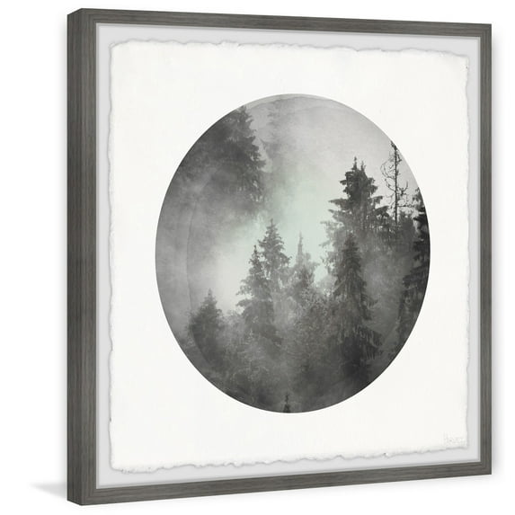 Parvez Taj Dark Foggy Forest Framed Wall Art, 24" x 24"