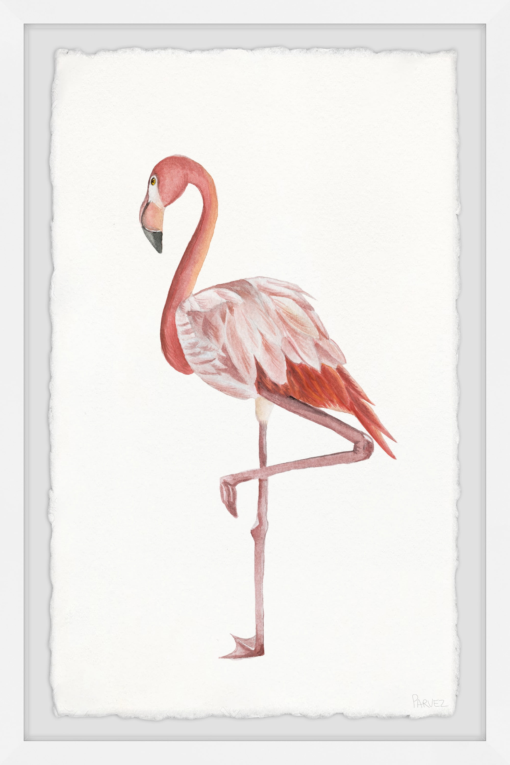 Parvez Taj Dashing Flamingo Stand Framed Wall Art