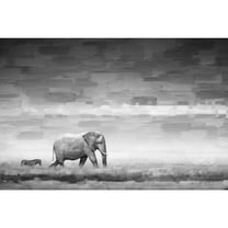 Parvez Taj Elephant Canvas Wall Art