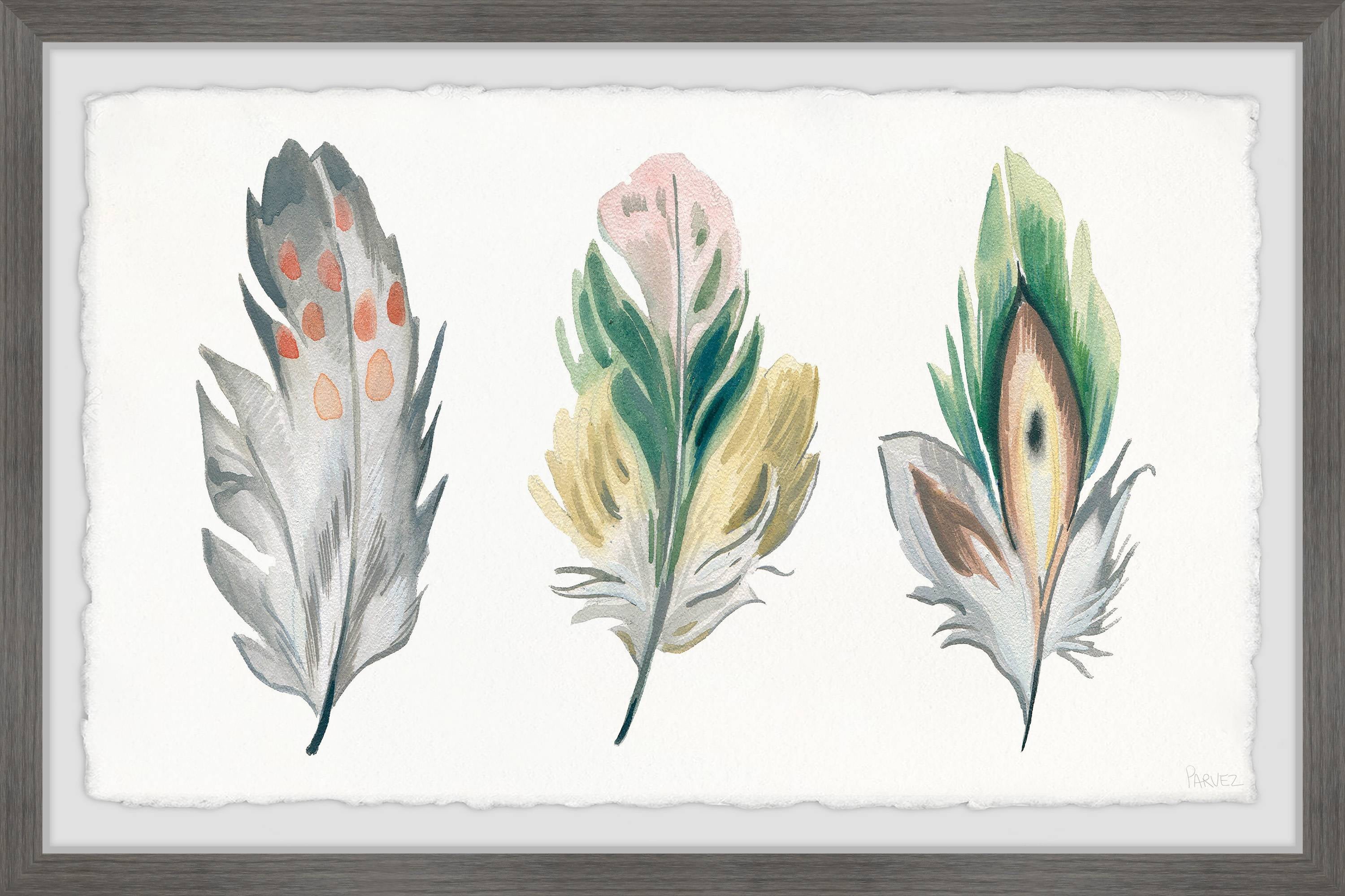 Parvez Taj Festive Feathers Framed Wall Art