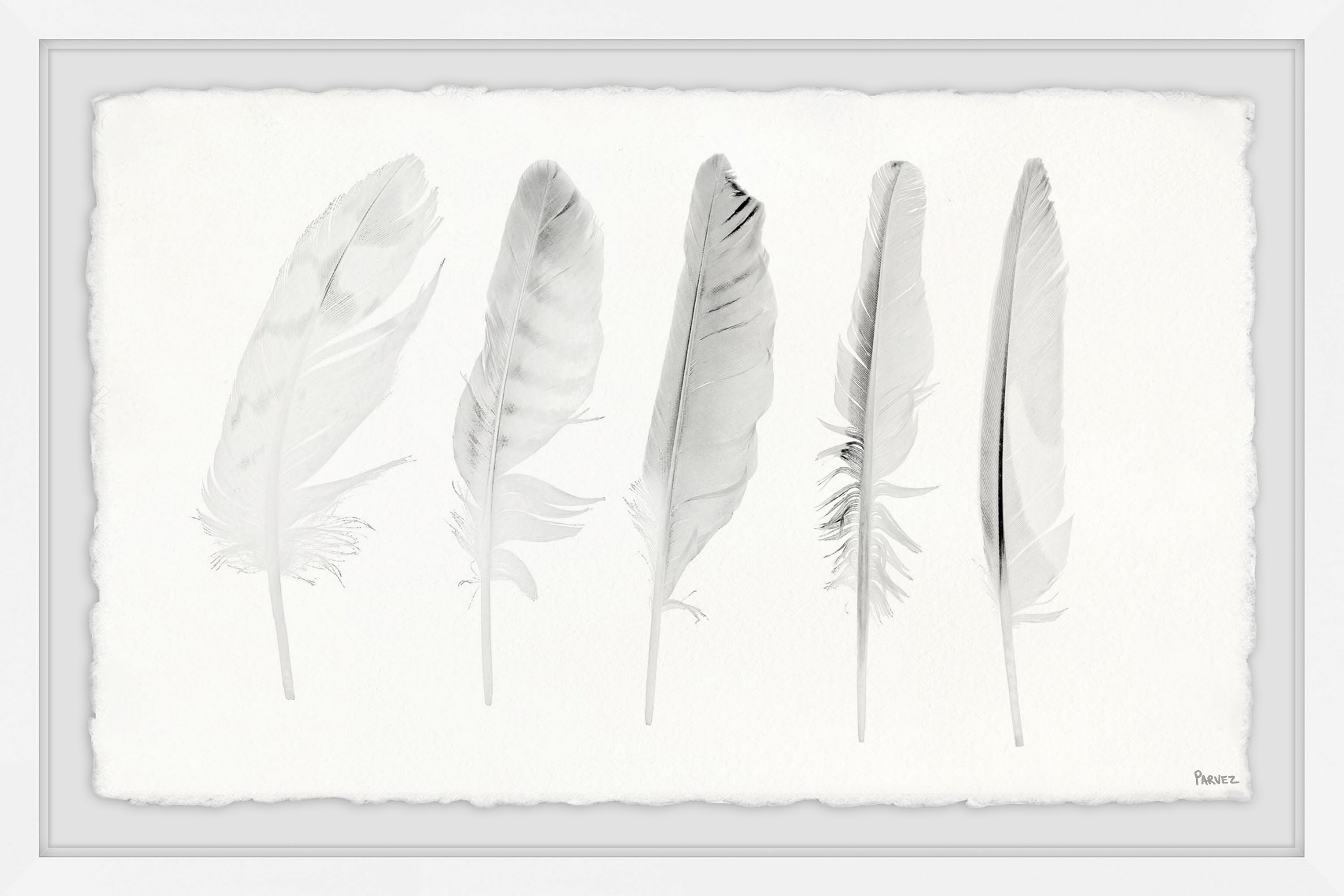Five White Feathers Framed Canvas Print, 8" x 12"