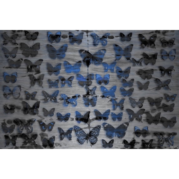 Parvez Taj Flutter Byes Metal Wall Art
